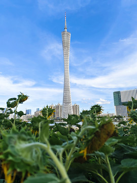 广州塔