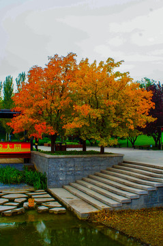 北京大望京公园