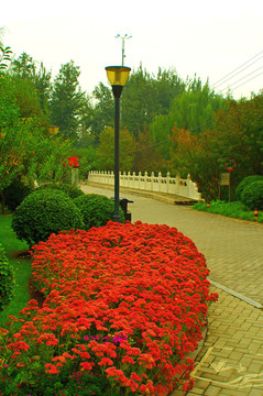 北京大望京公园