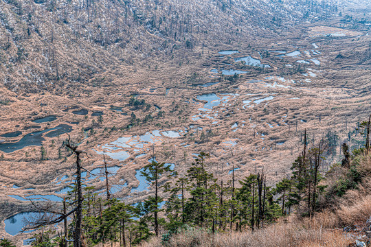 高黎贡山神田