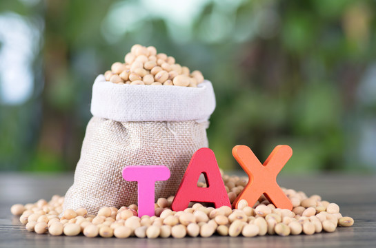 大豆和英文税收单词