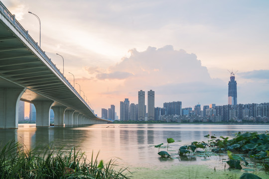 武汉沙湖大桥和城市建筑天际线