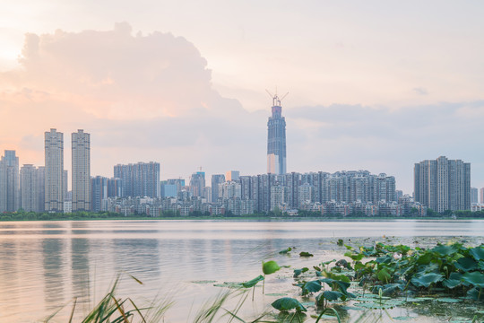 武汉沙湖风光和城市建筑天际线