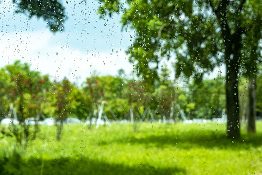 雨后花园