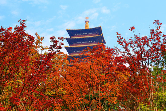 牛首山佛顶塔