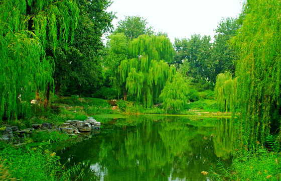 北京柳荫公园