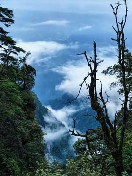 高山丘壑