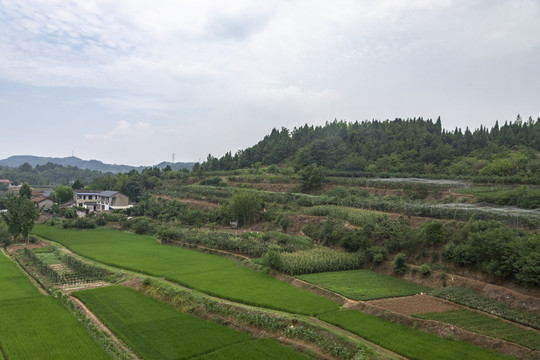 天空田园风光