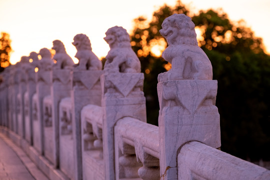 颐和园十七孔桥石狮