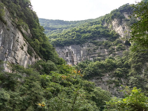 深山老林