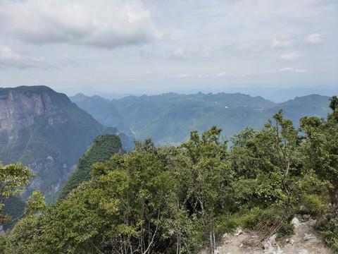 青山与绿植