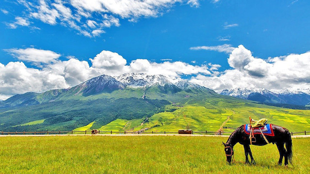 西藏风景的大草原
