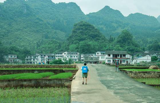 万峰林的田野