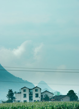 万峰林的田野