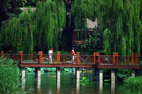 北京农业展览馆后湖