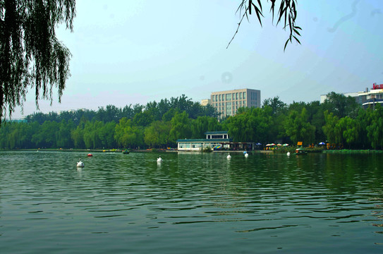 北京青年湖公园