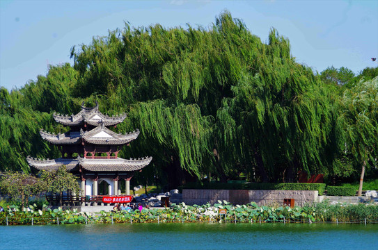 北京陶然亭公园