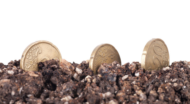 土壤里种下的欧元硬币