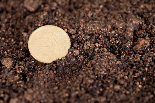 肥沃土壤上的50欧分硬币