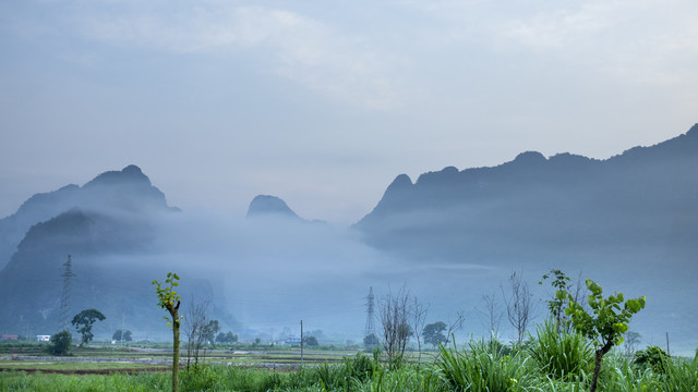 生态环境绿色风景