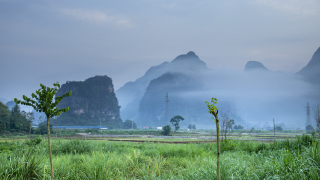 雾景