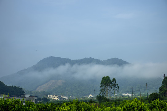 晨雾