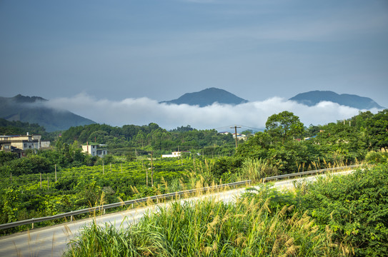 绿色乡村