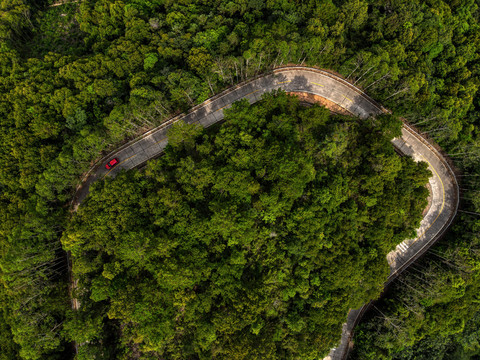 森林公路