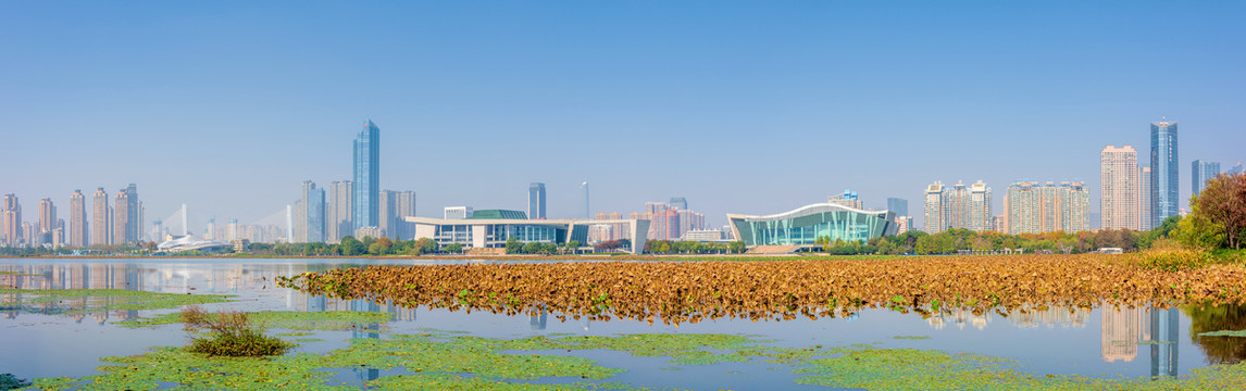 中国湖北武汉琴台音乐厅全景风光