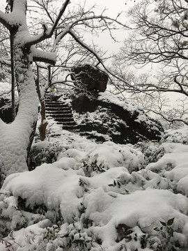 宝石山雪景