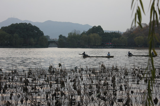 杭州西湖水面