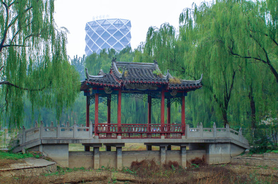 北京朝阳区望京公园