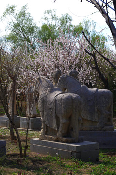 北京榆树庄公园