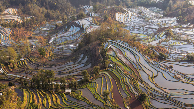 云南元阳梯田老虎嘴景点自然景观