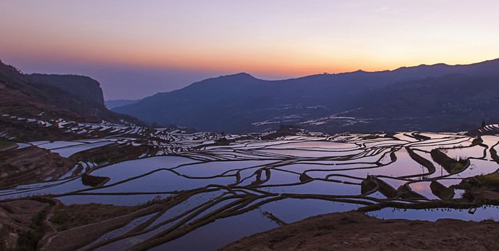 云南元阳梯田多依树景点田园风光