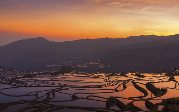 云南元阳梯田多依树景区自然景观