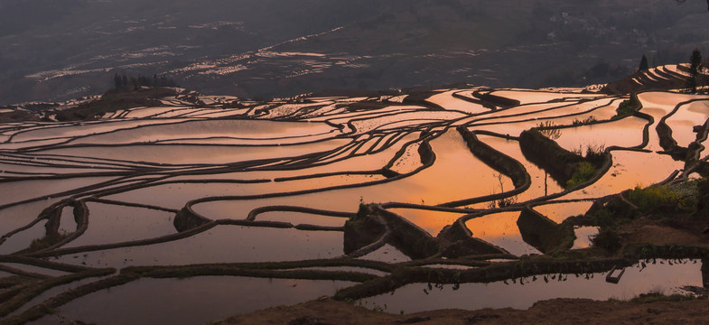 云南元阳梯田多依树景区自然景观