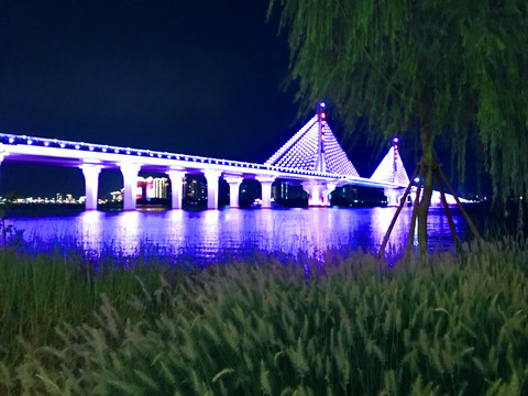 清远市洲心大桥灯光夜景