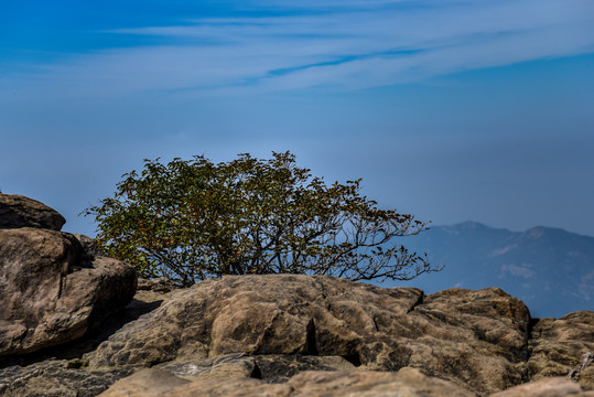 泰山风景区