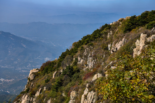 泰山