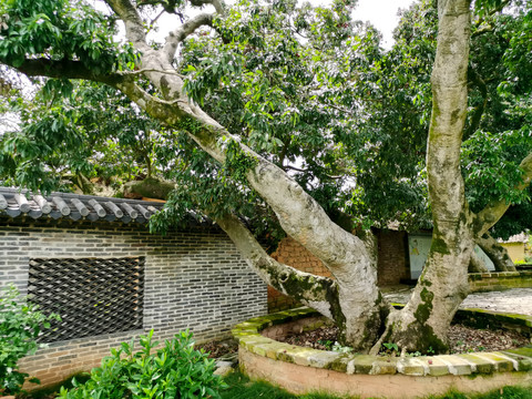 钦州灵山县新圩镇萍塘村