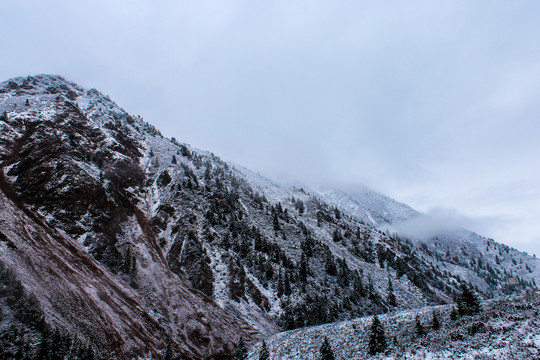 祁连山雪景