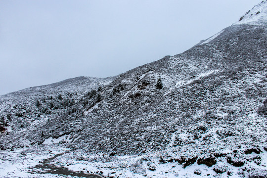 祁连山雪景