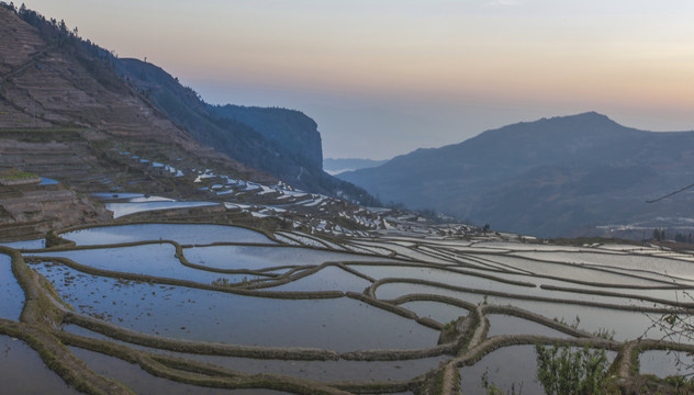 云南元阳梯田多依树景点自然景观