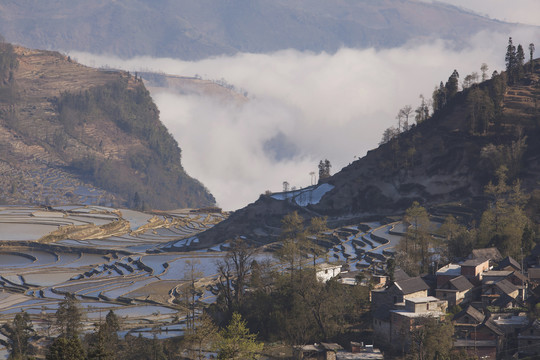 云南元阳梯田自然风光