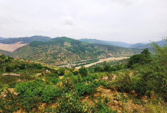 渭河流域生态