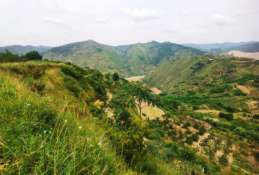 远眺渭河河谷