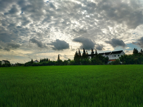 彩霞乡村美景