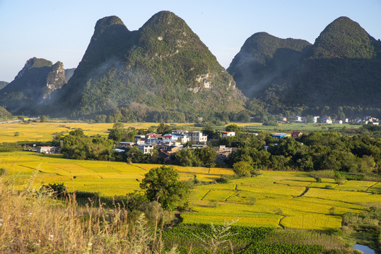 秋天金秋美丽乡村