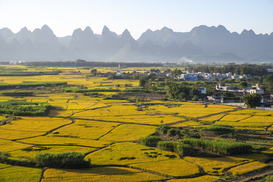 秋天风景美丽乡村